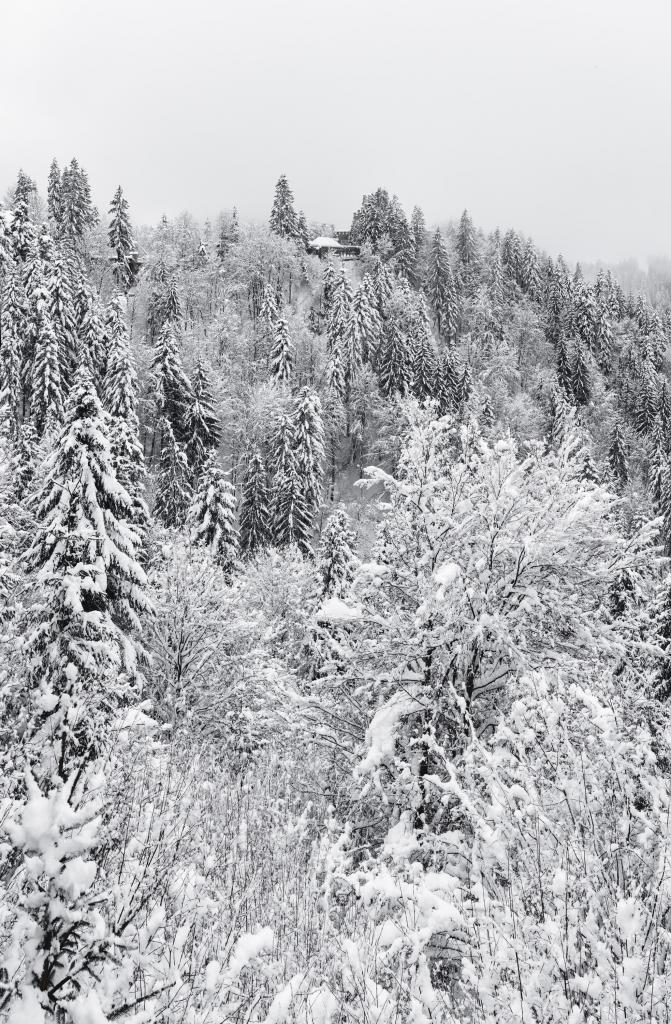 P0000072 Panorama_MASTER_2019-BW.jpg